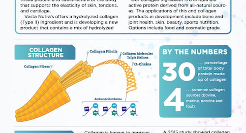 2019_CollagenInfographic_preview